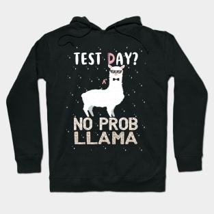 Best Gift Idea with Quote for Llama Lovers Hoodie